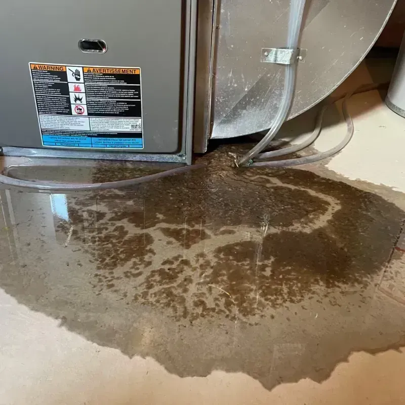 Appliance Leak Cleanup in Pulaski County, IL